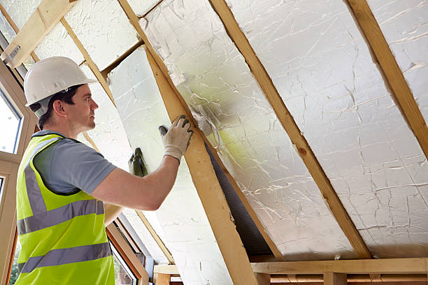 Best Eco-Friendly Insulation in Demopolis, AL